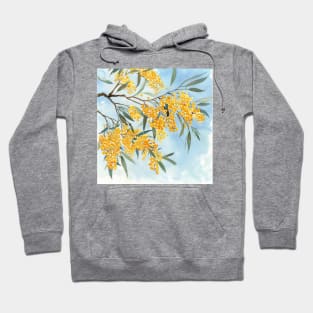 wattle Hoodie